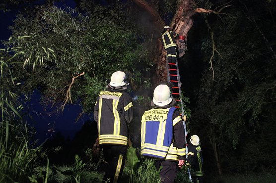 Waschb&auml;renrettung (Foto: Feuerwehr Heiligenstadt)