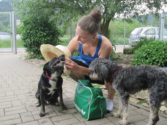 Mit Hunden in den Urlaub (Foto: Karin Ziegler)