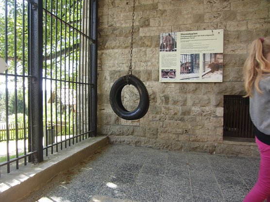 Alter K&auml;fig (Foto: Ilka K&uuml;hn)