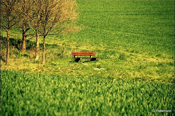 Wetter-Bild (Foto: Gernot Thelemann)