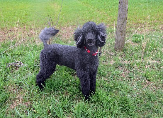 Arco (Foto: B. Hellrung)