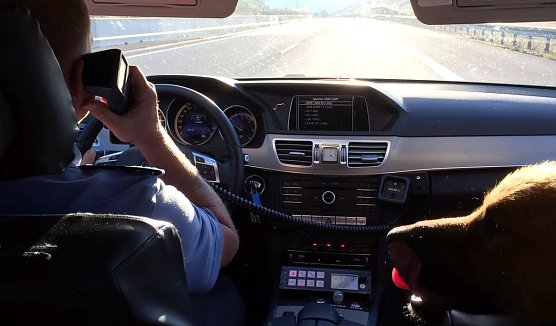 Bello als Beifahrer (Foto: API)