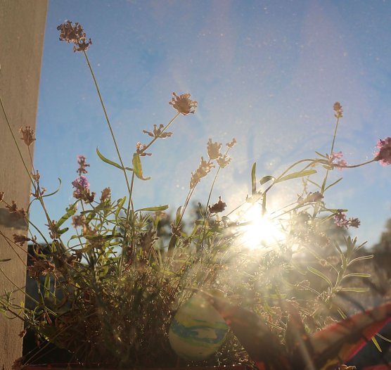 Wetterbild (Foto: Angelo Glashagel) Wetterbild (Foto: Angelo Glashagel)