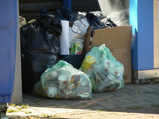 Müll (Foto: Ilka Kühn) Müll (Foto: Ilka Kühn)