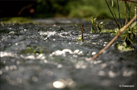 Wetter-Bild (Foto: Gernot Thelemann)