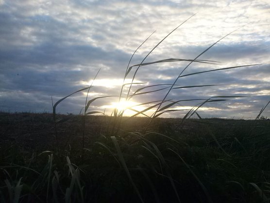 Wetterbild (Foto: Angelo Glashagel) Wetterbild (Foto: Angelo Glashagel)