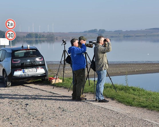 V&ouml;gel beobachten (Foto: T. Sauer)