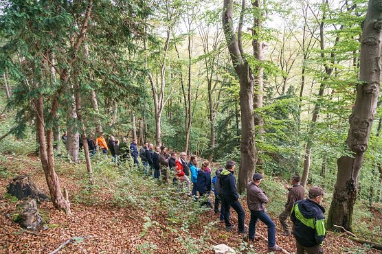 Urwaldpfad (Foto: Stadt HH) Urwaldpfad (Foto: Stadt HH)