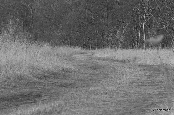 Wetter-Bild (Foto: Gernot Thelemann)