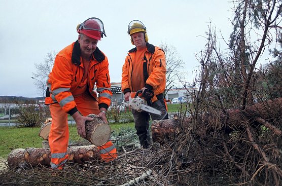 Test Gartentechnik (Foto: Natalie Hünger) Test Gartentechnik (Foto: Natalie Hünger)