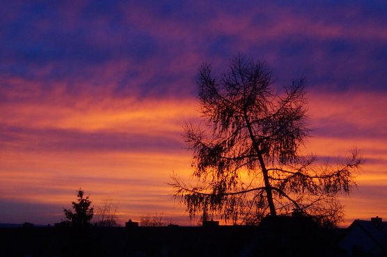 Brennender Himmel &uuml;ber Nordhausen (Foto: privat)