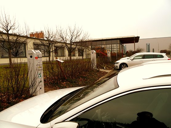 Zapfs&auml;ulen (Foto: Ilka K&uuml;hn)