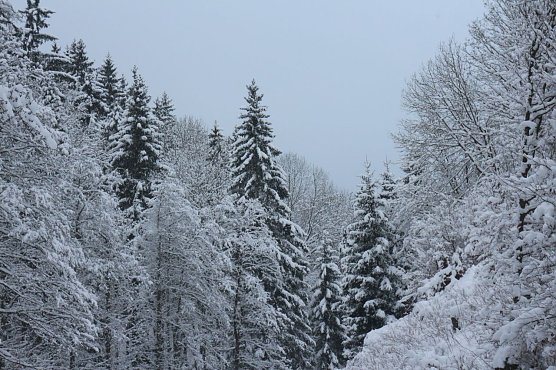 Wetterbild (Foto: Angelo Glashagel)