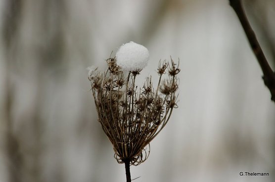 Wetter-Bild (Foto: Gernot Thelemann)