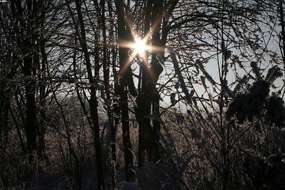 Wetter-Bild (Foto: Gernot Thelemann)