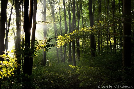 Wetterbild (Foto: Gernot Thelemann)