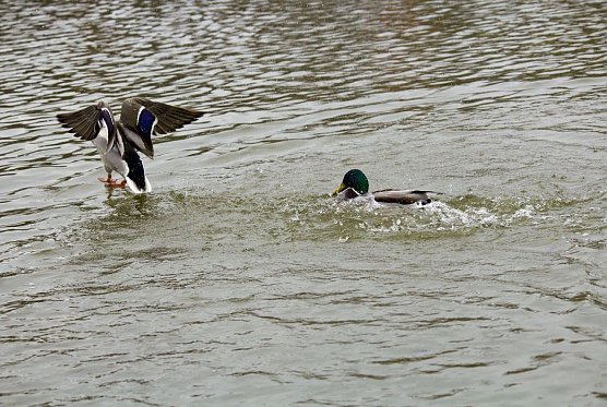 Wetter-Bild (Foto: Gernot Thelemann)