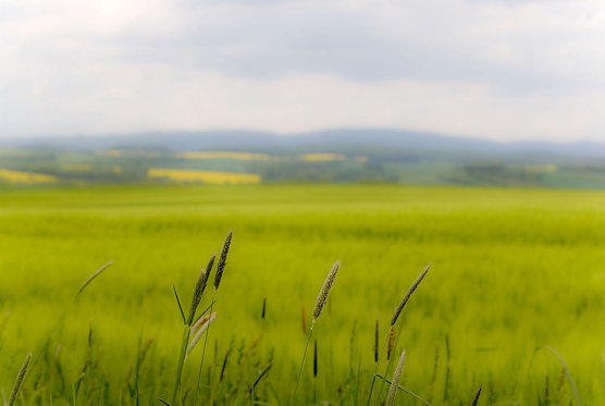 Wetterbild (Foto: Angelo Glashagel) Wetterbild (Foto: Angelo Glashagel)