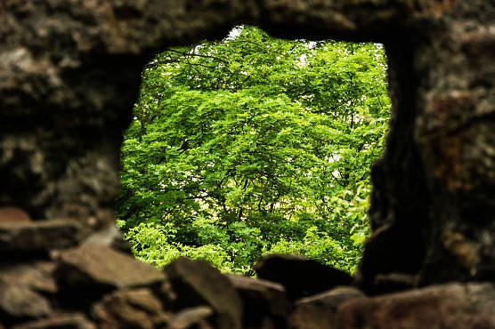 Wetterbild (Foto: Gernot Thelemann)