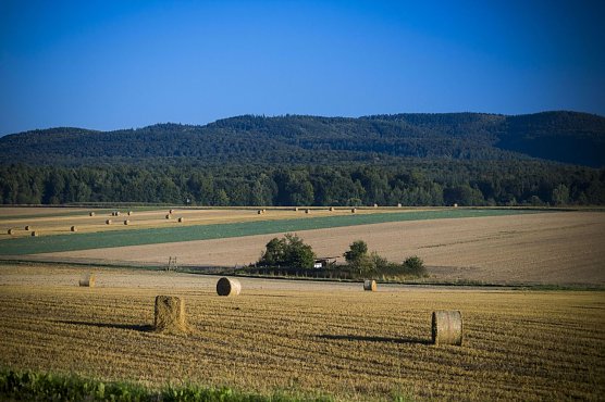 Wetterbild (Foto: Gernot Thelemann)