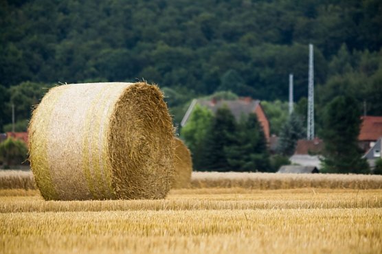 Wetterbild (Foto: Gernot Thelemann)