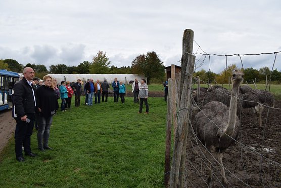 Auf der Strau&szlig;enfarm (Foto: Erwin H&ouml;ller)