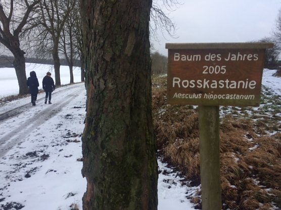 Neujahrswanderung (Foto: Norbert Sondermann)