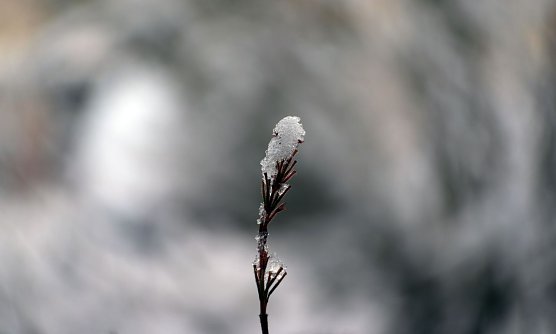 Wetterbild (Foto: nnz)
