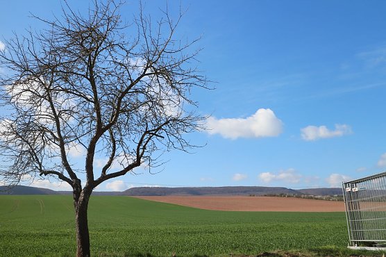 Wetterbild (Foto: Angelo Glashagel) Wetterbild (Foto: Angelo Glashagel)