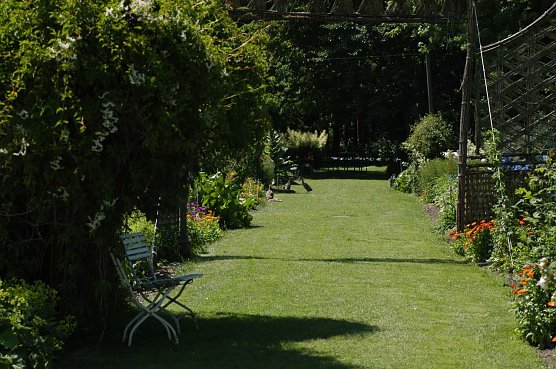 Rasen (Foto: Teresa Büschleb) Rasen (Foto: Teresa Büschleb)