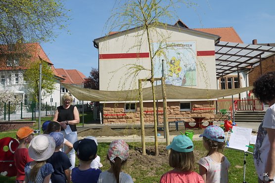 Baumspende für den Kindergarten (Foto: Ilka Kühn) Baumspende für den Kindergarten (Foto: Ilka Kühn)