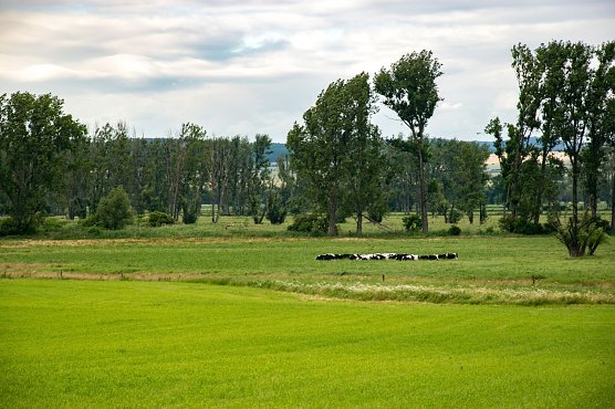 Wetterbild (Foto: Gernot Thelemann)