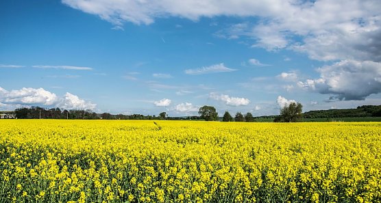 Wetterbild (Foto: Gernot Thelemann)