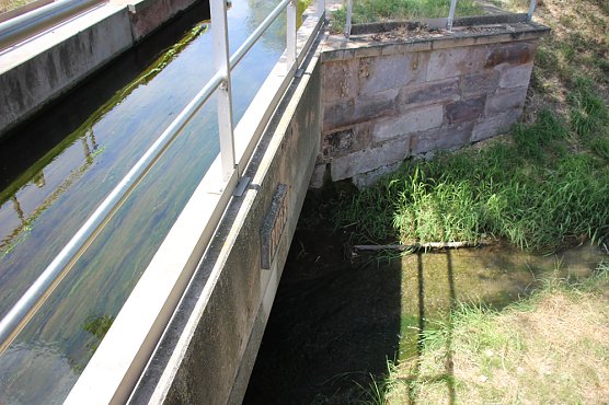 MDR THÜRINGEN Osterspaziergang (Foto: Karl-Heinz Herrmann) MDR THÜRINGEN Osterspaziergang (Foto: Karl-Heinz Herrmann)