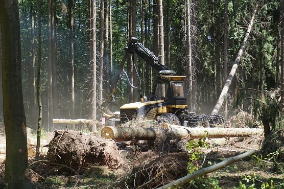 Beseitigung von Sch&auml;den (Foto: Dr. Horst Spro&szlig;mann)