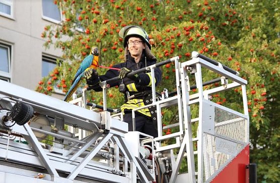 Papagei befreit (Foto: Feuerwehr Heiligenstadt)