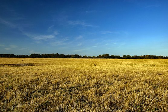 Wetterbild (Foto: Gernot Thelemann)