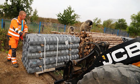 Schutzz&auml;une angeschafft (Foto: R. Wei&szlig;bach)