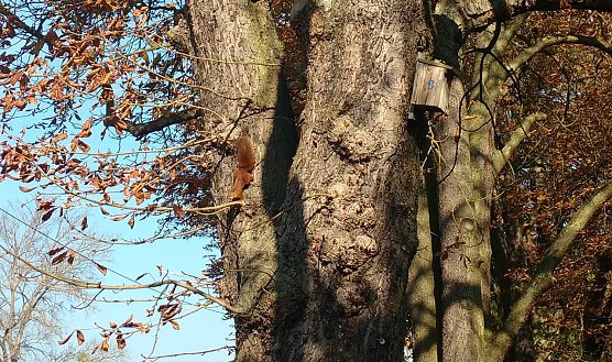 Wetterbild (Foto: nnz)
