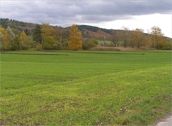 Vorher (Foto: Markus Wolf)