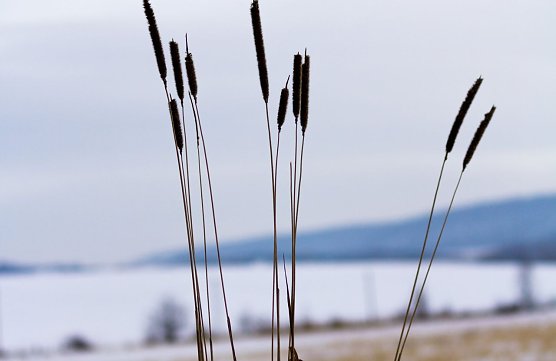 Winter ad&egrave;? (Foto: Gernot Thelemann)