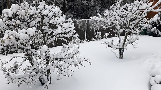 Winter in Sophienhof (Foto: W. J&ouml;rgens)