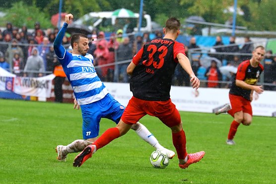 kammlütt gegen Lela (Foto: bernd peter) kammlütt gegen Lela (Foto: bernd peter)