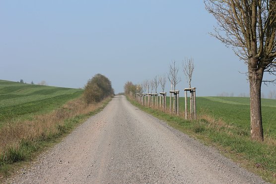 Wetterbild (Foto: Angelo Glashagel) Wetterbild (Foto: Angelo Glashagel)