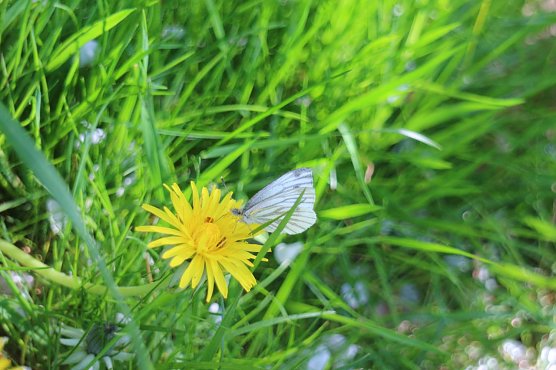Wetterbild (Foto: Angelo Glashagel)