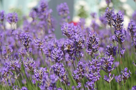 Wetterbild (Foto: Angelo Glashagel)