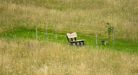 Wetterbild (Foto: Gernot Thelemann)