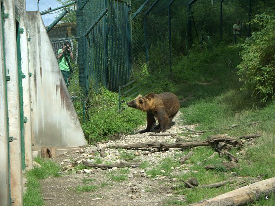 Doro auf Erkundung (Foto: Ilka K&uuml;hn)