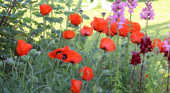 wetter (Foto: all) wetter (Foto: all)