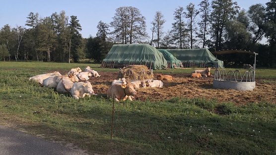 Idylle (Foto: privat)